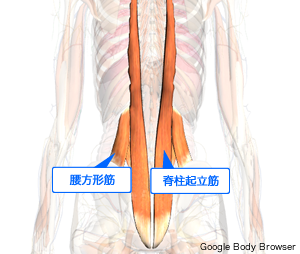 腰痛